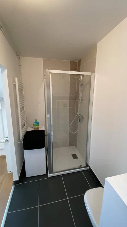 Magnifique Studio Avec Terrasse Et Garage Apartman Chens-sur-Leman Kültér fotó